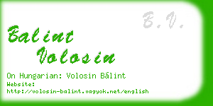 balint volosin business card